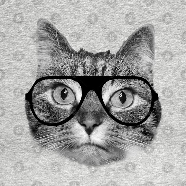 Cat wearing glasses by Purrfect